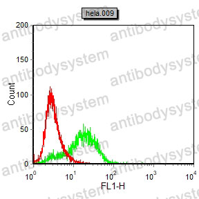 Anti-IL6 Antibody (R2Z17)