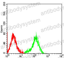 Anti-CD54/ICAM1 Antibody (R2Z20)