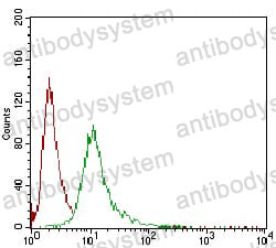 Anti-TBG/SERPINA7 Antibody (R2Z30)