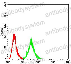 Anti-TFAP2A Antibody (R2Z33)