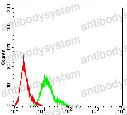 Anti-TFAP2A Antibody (R2Z34)