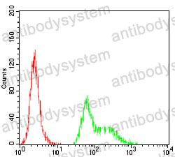 Anti-TFAP2A Antibody (R2Z31)