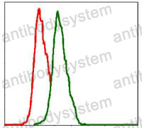 Anti-CD29/ITGB1 Antibody (R2Z35)