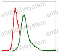Anti-CD29/ITGB1 Antibody (R2Z36)