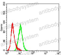 Anti-KRT18 Antibody (R2Z41)