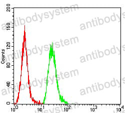Anti-KRT18 Antibody (R2Z42)