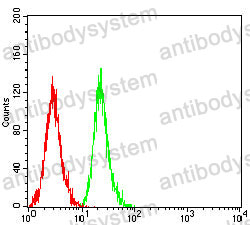 Anti-CD1a Antibody (R2Z49)