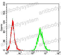 Anti-CD1a Antibody (R2Z50)