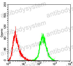 Anti-CD5 Antibody (R2Z54)
