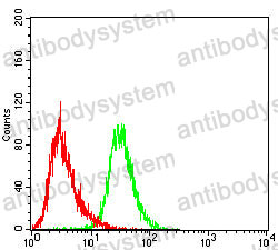 Anti-CD5 Antibody (R2Z55)