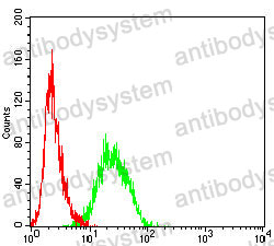 Anti-CD220/INSR Antibody (R2Z58)