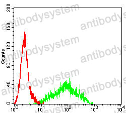 Anti-CD220/INSR Antibody (R2Z57)