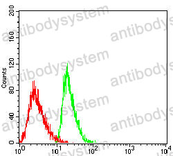 Anti-GSN Antibody (R2Z62)