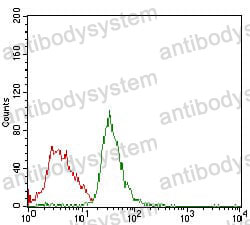 Anti-RB1 Antibody (R2Z65)
