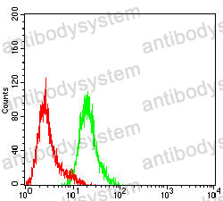 Anti-PGR Antibody (R2Z68)