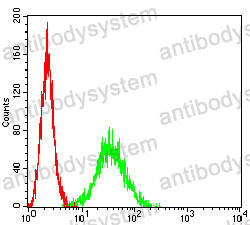 Anti-S100A9 Antibody (R2Z74)