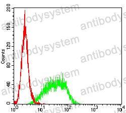 Anti-S100A9 Antibody (R2Z75)