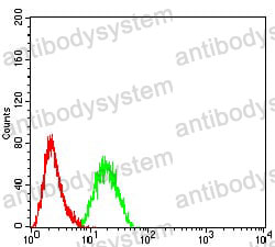 Anti-CD2 Antibody (R2Z80)
