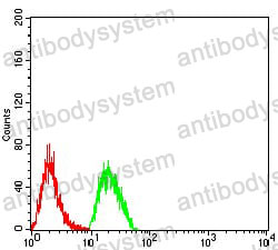 Anti-CD2 Antibody (R2Z81)