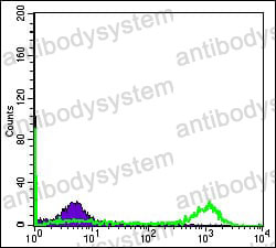 Anti-EIF4E Antibody (R2Z83)