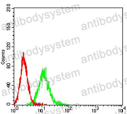 Anti-CD66e/CEA/CEACAM5 Antibody (R2Z87)