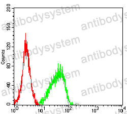 Anti-CD51/ITGAV Antibody (R2Z98)