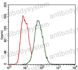Anti-HEXA Antibody (R3A01)
