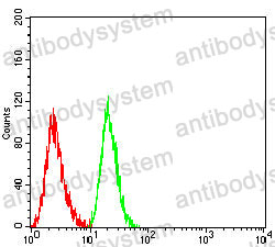 Anti-NEFL Antibody (R3A05)