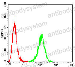 Anti-P4HB Antibody (R3A09)