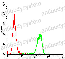 Anti-P4HB Antibody (R3A10)