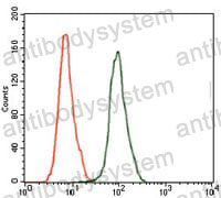 Anti-PSA/KLK3 Antibody (R3A14)