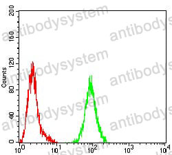 Anti-ASGR2 Antibody (R3A15)