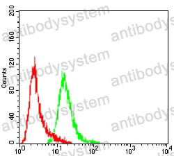Anti-CD115/CSF1R Antibody (R3A19)