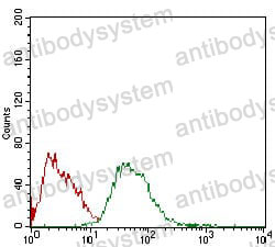 Anti-CD115/CSF1R Antibody (R3A18)