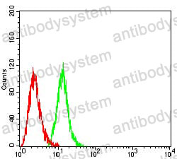 Anti-CAPN1 Antibody (R3A23)
