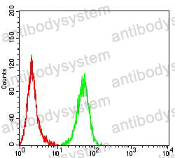 Anti-CAPN1 Antibody (R3A24)