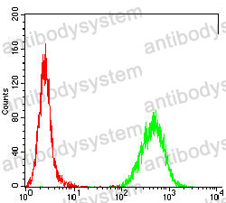 Anti-TUBB Antibody (R3A25)