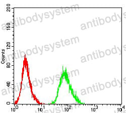 Anti-ADRB2 Antibody (R3A27)