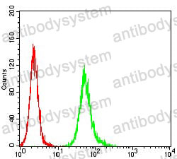 Anti-ADRB2 Antibody (R3A28)