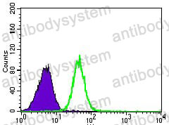 Anti-PSAP Antibody (R3A30)
