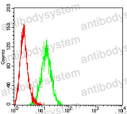 Anti-PSAP Antibody (R3A31)