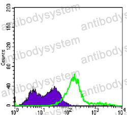Anti-CD3E Antibody (R3A34)