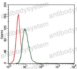 Anti-HSP90AA1 Antibody (R3A35)