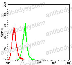 Anti-ERCC1 Antibody (R3A46)