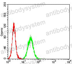 Anti-THBS1 Antibody (R3A50)