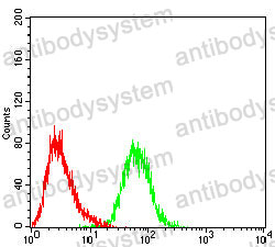 Anti-CD221/IGF1R Antibody (R3A53)