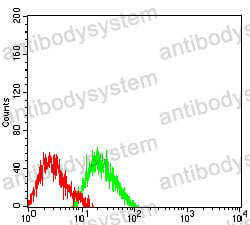 Anti-COL1A2 Antibody (R3A55)