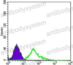Anti-CD271/NGFR Antibody (R3A56)