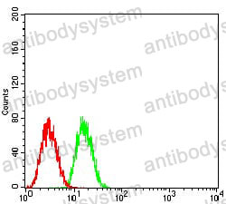 Anti-GLI1 Antibody (R3A58)