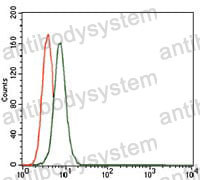 Anti-CD55 Antibody (R3A59)